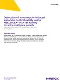Merck:/Freestyle/BI-Bioscience/Protein-Detection/bmia-images/rat-kidney-toxicity-mk-07182018.jpg