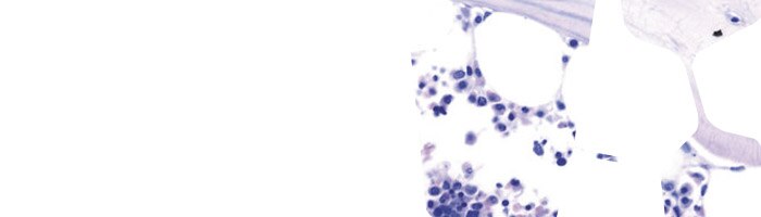 Giemsa staining solutions
