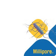 20 minute talk on compliant Listeria monocytogenes testing