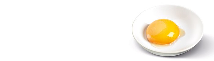 Rapid Testing for Salmonella