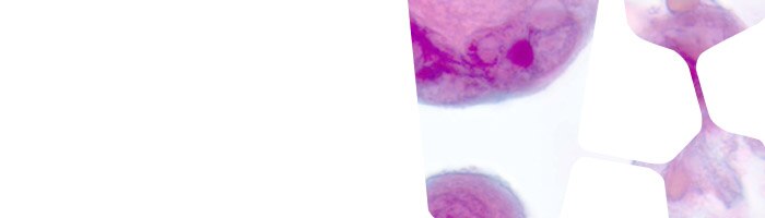 Cytocolor® staining kits