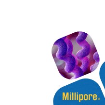 20-minute talk: Detection of Campylobacter acc. to international standards