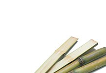 Bioethanol