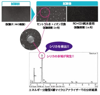 耐候性試験への水質影響 RO+EDI純水とイオン交換水の比較