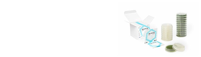 Small But Mighty ReadyPlate™ 55