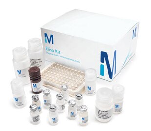 Merck:/Freestyle/BI-Bioscience/Protein-Detection/bmia-images/elisas-kit-blue.jpg