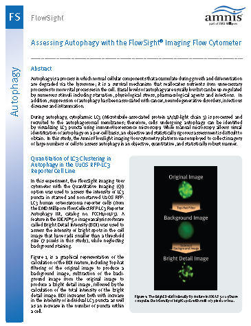 Merck:/Freestyle/BI-Bioscience/Cell-Analysis/amnis/Amins2-images/Disciplines/DrugDiscovery_TI.png