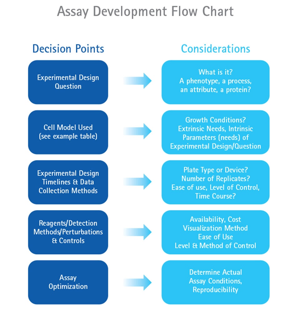 Assay Development Flow Chart