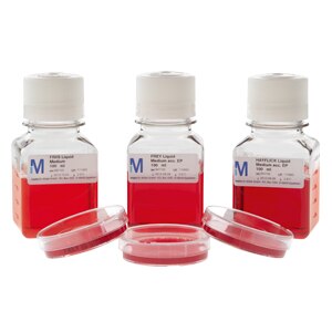 Compendia Mycoplasma Testing