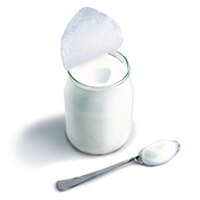 Lactobacilli