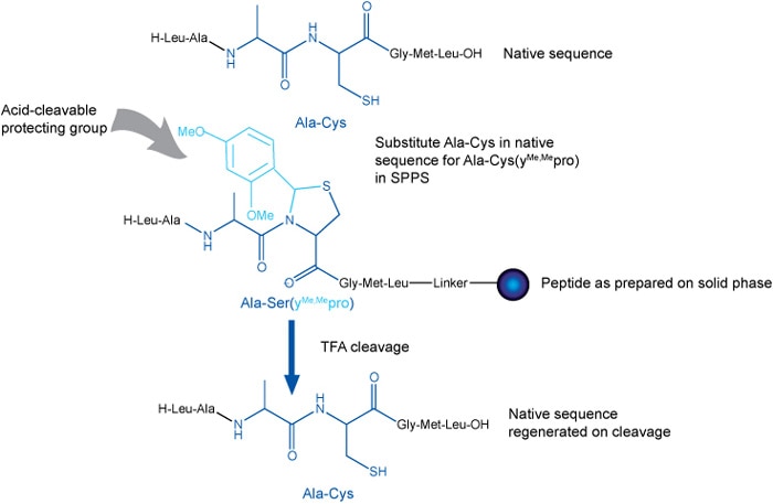Merck:/Freestyle/LE-Lab-Essentials/Learning Center/Peptides/AA-cysteinyl-pseudoproline-dipeptides-700x457-12152015.jpg