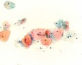 Merck:/Freestyle/LE-Lab-Essentials/Microscopy/LE-Hematoxylin-120x95-08212013.jpg