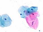 Cytocolor®
