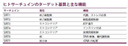 ヒトサーチュインのターゲット基質と主な機能
