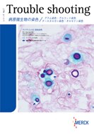 Merck-JP:/01_JP_Image/JP_FreeStyle/JP_LE/JP_LE-LC-Micrscopy/JP_LE-LC-MS-troubleshooting/TBS_no07cover.jpg
