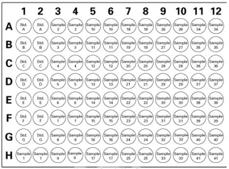 Superoxide Dismutase Assay Kit Ii 574601