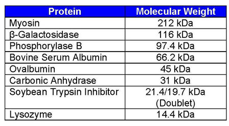 Omnipur Protein Molecular Weight Marker Wide Range Calbiochem 7331 Op