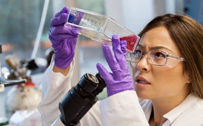 Solutions for common problems with cell culture.