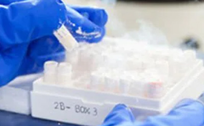 Blue gloved hand pulling an ampule of cells from a white cold box labeled "2B-Box 3". Blue gloved hand pulling an ampule of cells from a white cold box labeled "2B-Box 3".