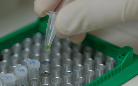 PCR Applications PCR Applications