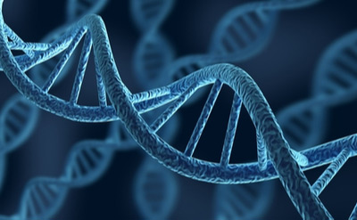 DNA Helixes Zoomed in DNA helix with other helixes shown blurred out in the background