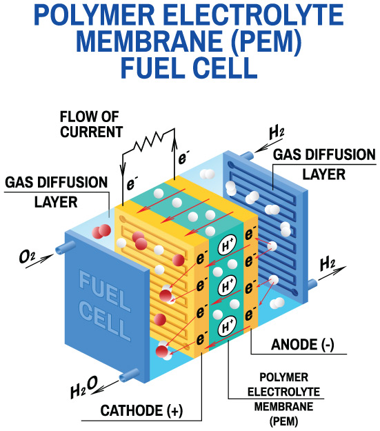 Polymer Electrolyte Membrane (PEM) Fuel Cell Illustration d'une pile à combustible PEM montrant comment l'énergie chimique est convertie en énergie électrique en utilisant de l'hydrogène gazeux et de l'oxygène gazeux comme combustible.