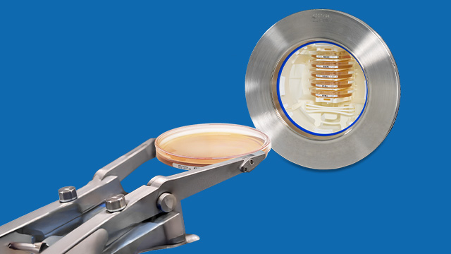 <p>Automated Environmental Monitoring in Gloveless Isolators</p>
A laboratory image featuring a metal apparatus with a circular opening displaying a series of petri dishes inside. In the foreground, a pair of forceps is holding a petri dish, showcasing a hands-on approach to scientific experimentation. The background is a bright yellow, enhancing the focus on the equipment and the petri dish.