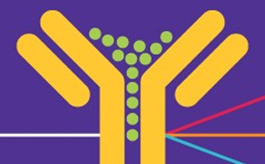 Yellow antibody with green antigens binding to it, set against a purple background with colorful lines representing different interactions or reactions.