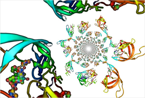 It is a colorful representation of a complex molecular structure. It features multiple intertwined shapes, each with distinct colors like green, blue, red, and yellow.