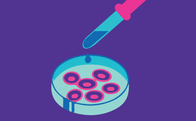 Microbiological analysis and product testing to ensure the safety of cultured meat products. This involves rigorous testing and analysis for the presence of foodborne pathogens and microbial contamination. Quality control measures are implemented to maintain high standards of safety throughout the production process, ensuring safety consumption of the cultured meat products. Microbiological analysis and product testing to ensure the safety of cultured meat products. This involves rigorous testing and analysis for the presence of foodborne pathogens and microbial contamination. Quality control measures are implemented to maintain high standards of safety throughout the production process, ensuring safety consumption of the cultured meat products.