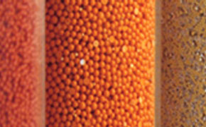 A close-up view of four different types of resins or seperation medias, each in a separate vertical section with distinct colors and textures. From left to right:  Red Grain: A finely textured, red-colored grain that is densely packed. Orange Seeds: Uniform, spherical, orange seeds closely packed together. Brownish Grains: Smaller, less uniform brownish grains, more spaced out than the others. Yellowish Seeds: Yellowish seeds mixed with small black particles, appearing less dense.