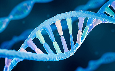 Nucleosides nucleotides derivatives Close-up illustration of a DNA double helix with pastel-colored base pairs against a blue molecular background.