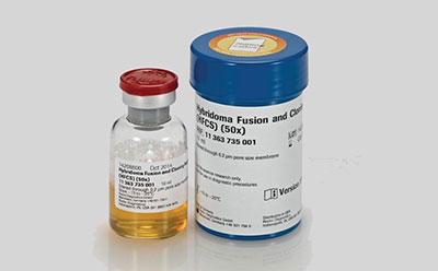 Hybridoma Fusion and Cloning Supplement 图片上有两个容器,一个是红色瓶盖的小玻璃瓶,里面装着黄色液体。标签上有“HYBRIDOMA”、“SERUM-FREE”和一些数字代码。另一个是较大的蓝色塑料容器,标有“杂交瘤融合和克隆补充剂(HFCS)(50x)”字样,并附有数字代码“B11 343 735 001”和GE Healthcare Life Sciences公司的标识。