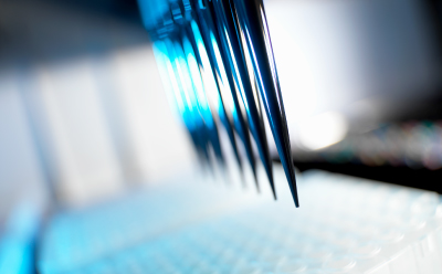 Metabolite Libraries for High-Throughput Screening Multichannel pipette dispensing samples into a microplate for metabolite library screening and metabolic pathway research.