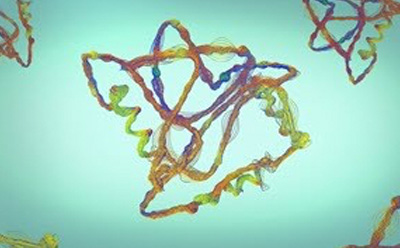 Biopharma Formulation multi colored cells Biopharma Formulation multi colored cells