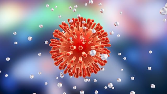 3D model of a virus