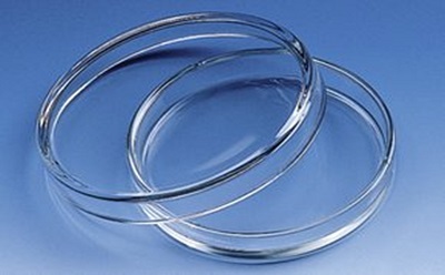 Bo&icirc;tes de P&eacute;tri en verre