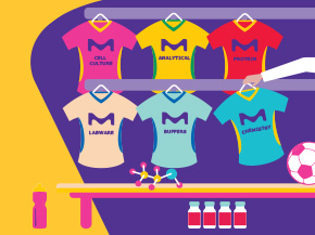 Illustration of six colorful t‑shirt jerseys hanging on a rack in front of a purple and yellow background, with a soccer ball on the right; each shirt has a label-like word on it.