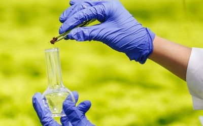 Simplify PFAS Testing A researcher wearing blue gloves handles a probe over a round-bottom flask outdoors, with greenery in the background.