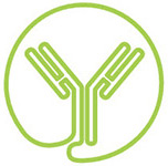 mAb 产品特征