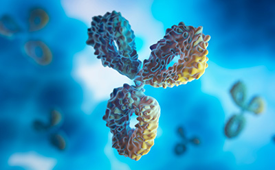 Monoclonal antibodies on a blue background