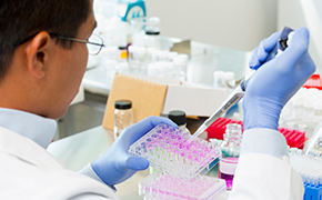 Protease Male scientist wearing blue nitrile gloves fills protein solutions in multi-well plate with pipette.