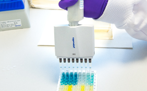 PyroMAT<sup>®</sup> In Vitro Test Kit Large, brown solvent bottle with Supelco® branded label is opened by a lab worker wearing blue nitrile gloves. Only the hands and lower arms of the worker are shown. One small brown solvent bottle and two small white bottles can be seen in the background.