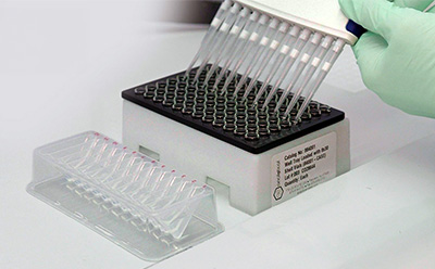Gloved hand using a multichannel pipette to dispense samples into a 96well plate for PROTAC synthesis workflows.