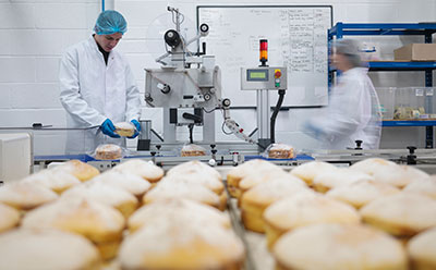 Safe Food Manufacturing Various fruits, vegetables, nuts, beans, and berries in bowls