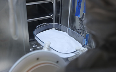 Orphan drug sterilization process GMP autoclave sterilizer with glass dish of pharmaceutical compound for rare disease orphan drug small-molecule manufacturing