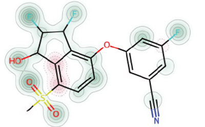 An illustration of a chemical structure featuring interconnected atoms and functional groups. The main structure is outlined in black, with highlighted elements in red, blue, and yellow to indicate specific functional groups such as hydroxyl (OH) and sulfonyl (SO).