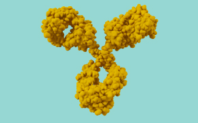 mAbs A 3D illustration of a monoclonal antibody.