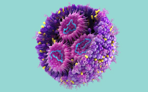 mRNA/LNP A 3D illustration of an mRNA/LNP