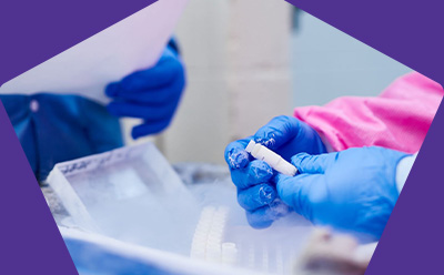 Stability studies image Close-up of gloved hands in blue and pink, holding a small vial or pipette in a laboratory workspace.